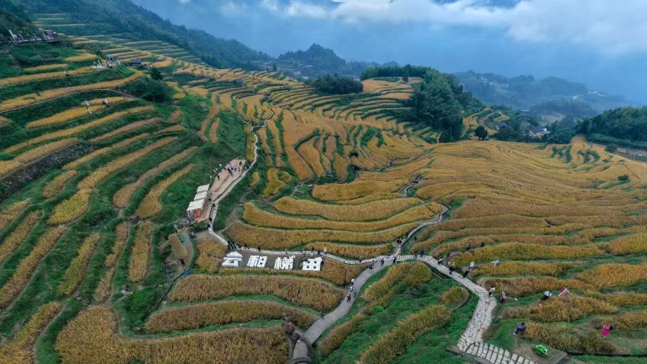 1762309292636680.jpg 62c5f327ada879335f0ccf9a0a75c52e.jpg